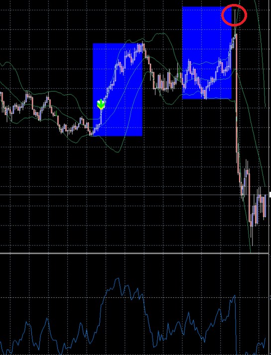ラインボトム解説
